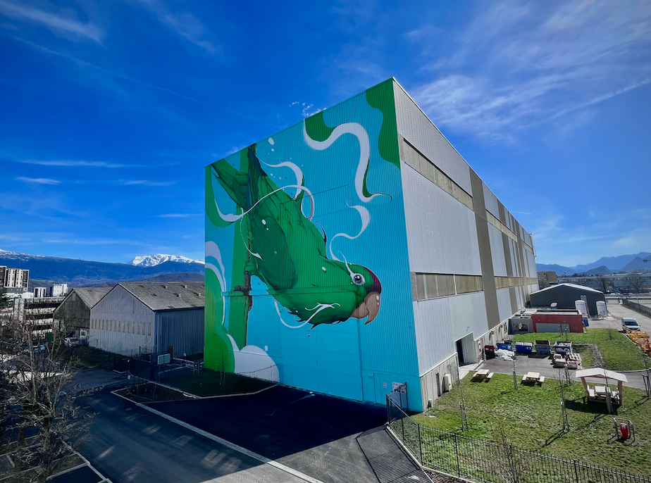 L’artiste street art Kalouf a terminé la première façade de son œuvre « Conure à front rouge » de 30 x 30 m.