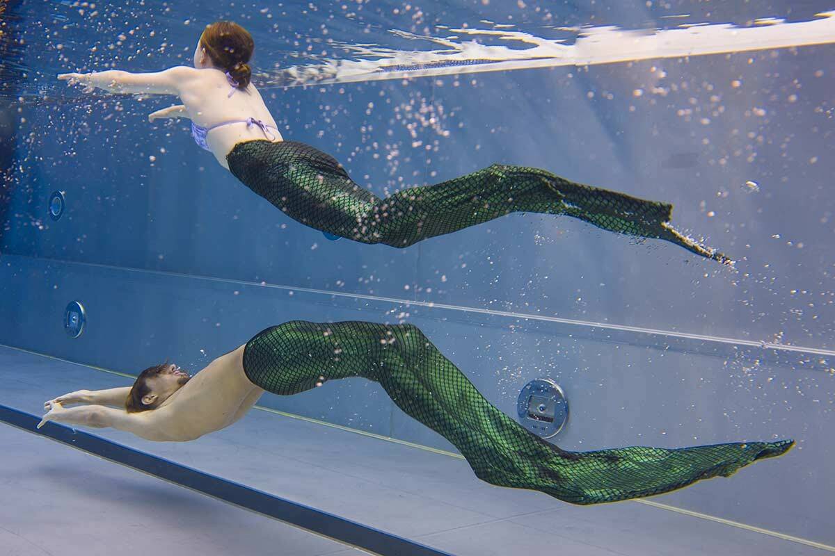 atelier-de-nage-sirene--emmanuel-foudrot.jpg