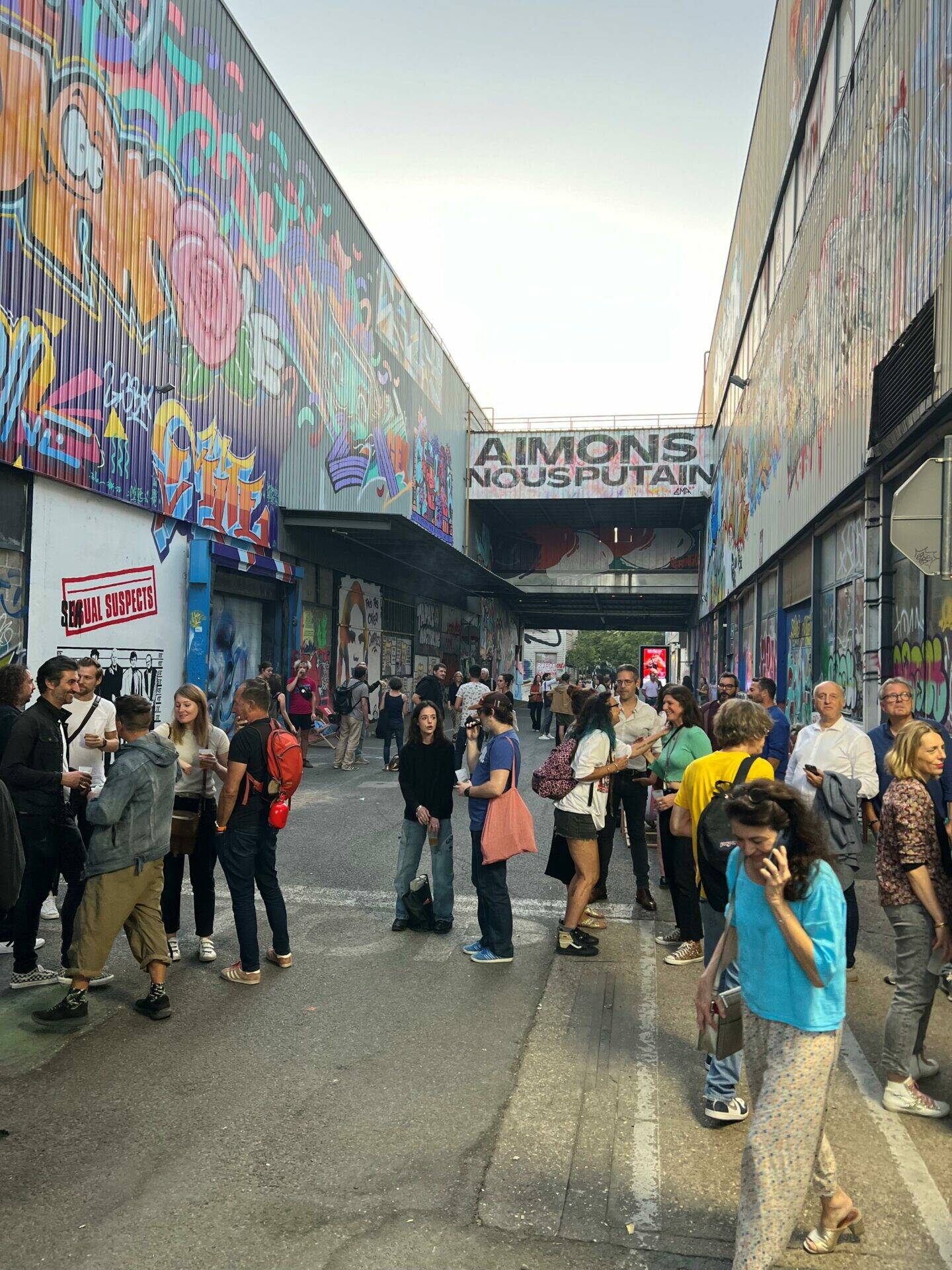 Des œuvres même a l'extérieur de l'ancienne usine Fagor-Brandt pour le Festival Peinture Fraîche