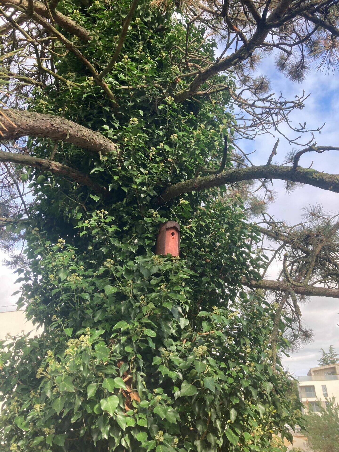 Le domaine d'Epona et des abris pour la faune environnante, pour la biodiversité